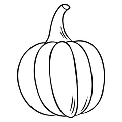 illustration of a pumpkin