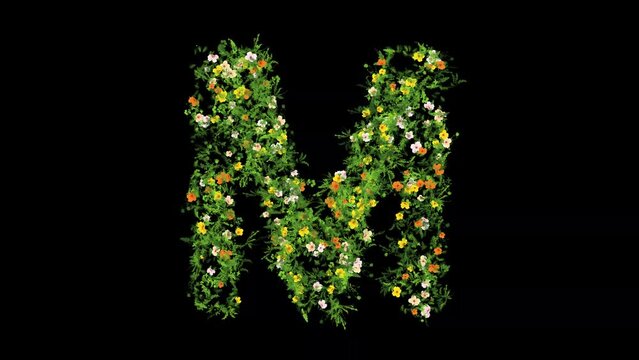English alphabet M with grass and colorful flowers on plain black background