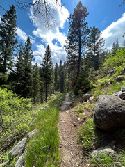 trail in the mountains