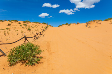  Coral Pink Sand Dunes State Park
