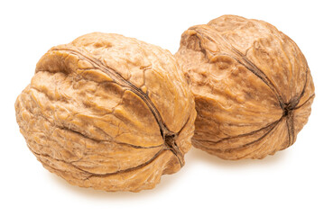 Walnuts isolate on white background with clipping path.