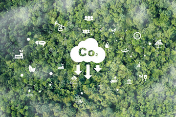CO2 white fog, Concept depicting the issue of carbon dioxide emissions, global warming, sustainable...