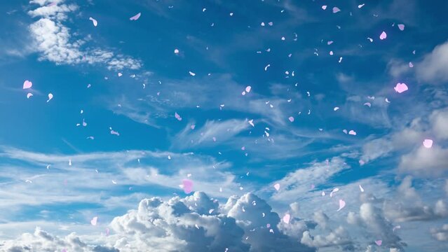 雲が流れる青空に舞い散る花びら　イベント・ウエディング・フラワーシャワー・イベント・幸せ,お祝い,発表