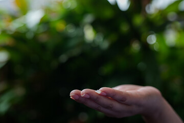 
Technology, hand holding with environment Icons over the Network connection on green background.