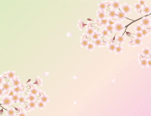 花びら舞い散る桜の背景イラスト素材 ベクター 春
