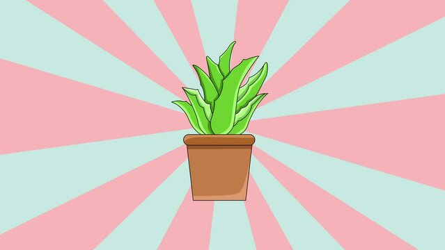 Animated aloe vera plant icon with a rotating background