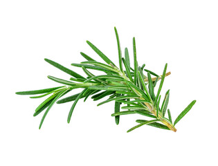 rosemary transparent png