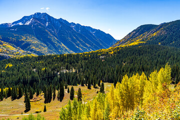 The yellow aspens light up the Colorado landscape in the Autumn