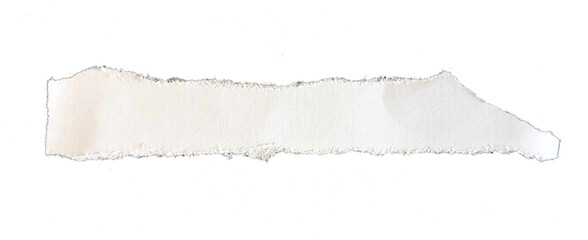 Paper different scraps set ripped page piece.