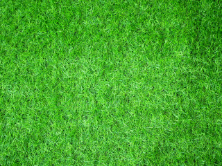 Green grass texture background. Artificial grass floor.