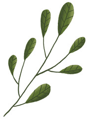 Fototapeta premium Green Leaf Pastel With Textured Graphic Element
