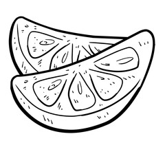 orange fruit outline