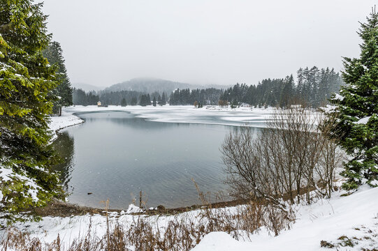 Lenzerheide, Valbella, Heidsee, Bergsee, Uferweg, Wanderweg, Winterwanderung, Langlauf, Loipe, Winterlandschaft, Seeufer, Alpen, Wald, Tannen, Eis, Winter, Schnee, Schneefall, Graub&uuml;nden, Schweiz