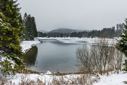 Lenzerheide, Valbella, Heidsee, Bergsee, Uferweg, Wanderweg, Winterwanderung, Langlauf, Loipe, Winterlandschaft, Seeufer, Alpen, Wald, Tannen, Eis, Winter, Schnee, Schneefall, Graub&uuml;nden, Schweiz