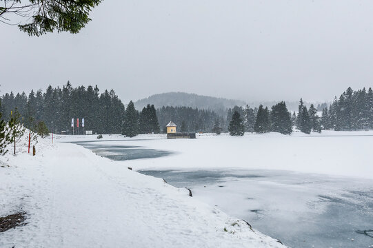 Lenzerheide, Valbella, Heidsee, Bergsee, Uferweg, Wanderweg, Winterwanderung, Langlauf, Loipe, Winterlandschaft, Seeufer, Alpen, Wald, Tannen, Eis, Winter, Schnee, Schneefall, Graub&uuml;nden, Schweiz