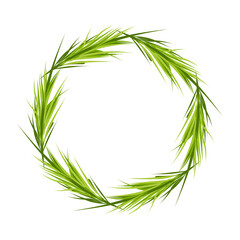 circle leaves palm