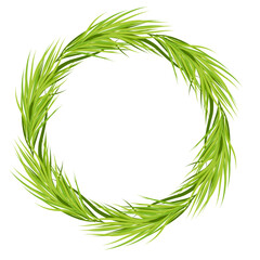 circle leaves palm