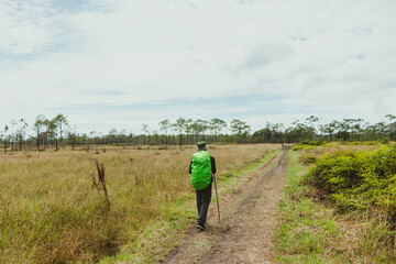 Hiking man walking in the field with nature background, Travel concept, at Phu Kradueng National Park, Thailand