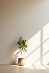 A potted plant sitting on a wooden floor in front of a white wall. Perfect for adding a touch of nature to any indoor space