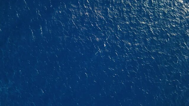 Vibrant blue Caribbean waters, drone top down nature background with glistening ripples