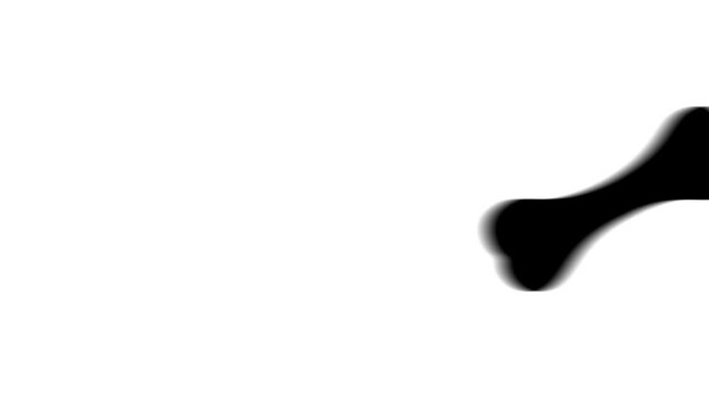 Animation set, dog bone symbol. Animations: transparency, zooms, transition top to down, transition left to right, slide up to down, slide left to right