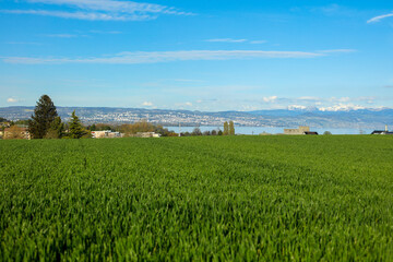 Fototapeta na wymiar Vue de la ville de Lausanne depuis les collines de St-Prex