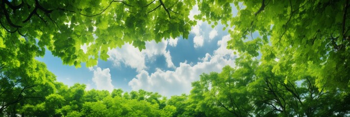 Green leaves in summer. Lush and bright panorama