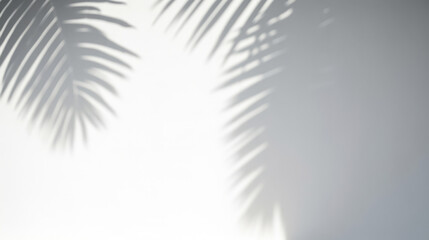Leaves shadow overlays on white background. Window light shadow on the wall. Sun Shadows Play