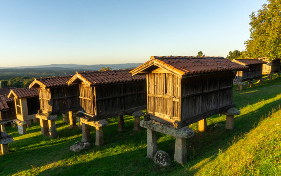 Set of granaries (horreos) from A Merca from the mid-20th century. Beautiful light at the end of the day. Ourense, Galicia, Spain.