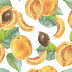Apricot Watercolor seamless Pattern. Botanical illustration of Fruit. Hand drawn nature ornament on isolated background. Drawing of sweet summer food. Painting of plant for fabric design
