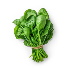 Bundle of fresh spinach isolated on transparency background, PNG