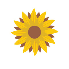 Half Sunflower,Flower , Monogram,Sunflower silhouette, Floral,Sunflower SVG,Sunflower with Butterfly cut file,Sunflower with brid bundle.sunflower svg