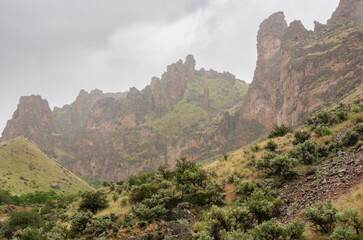 Succor Creek State Natural Area on a Foggy May Morning
