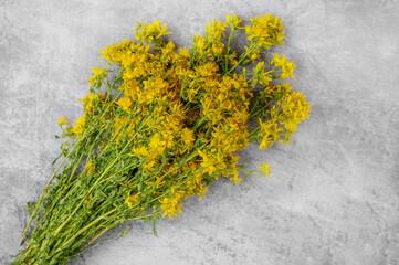 medicinal herb St. John's wort is prepared for drying. twigs and dried flowers of St. John's wort...