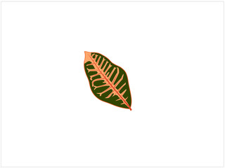  Green leaves on white background. Tropical Leaf Icon on Transparent Background.