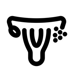 Uterus Line UI Icon