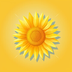 sunflower, flower, isolated, nature, yellow, sun, summer, blossom, white, beauty, plant, flora, agriculture, closeup, bright, single, garden, petal, leaf, seed, orange, flowers, sunflowers, floral, be