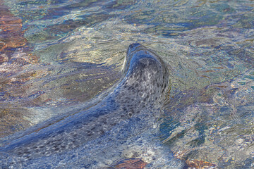 仙法志御崎海岸