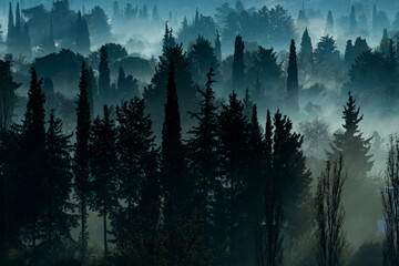 Fototapety na wymiar - Fototapeta24.pl