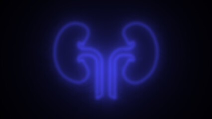 Glowing blue neon line Human kidney icon isolated on a black background. Neon human kidneys icon. Urinary system part symbol. Medicine icons.
