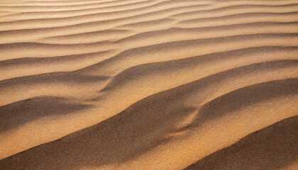 Wavy sand texture background. Desert and dunes