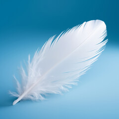 Obraz premium white feather on blue background