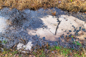 White foam on surface of polluted water in stream, wild grass in background, autumn day. Concept of environmental destruction in nature