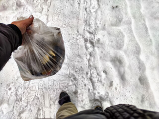 Bag of garbage in hand of woman and snow in forest on the background. A girl cleans up the trash...