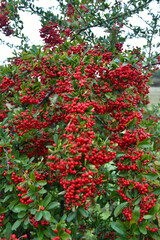 View of the countryside of the Puglia region in Italy.