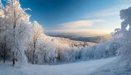 Fototapeta na wymiar stunning panorama view of snowy landscape in winter winter wonderland forest snowscape snow nature