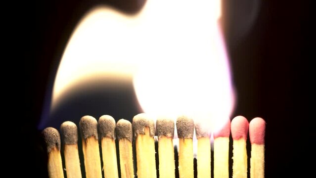 Twelve matches light up and burn on a black background