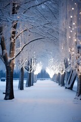 A serene and snowy path lined with trees and lit by fairy lights
