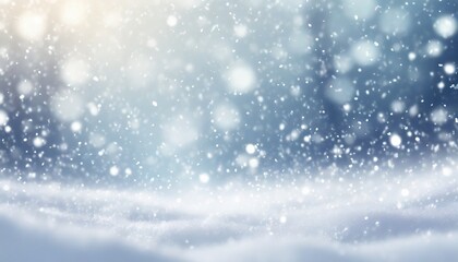 Fototapeta premium 雪景色