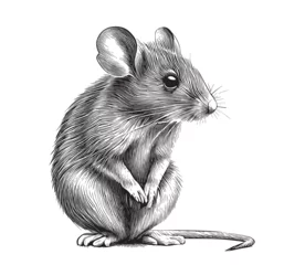 Fotobehang Cute mouse hand drawn sketch illustration Wild rodents © BigJoy